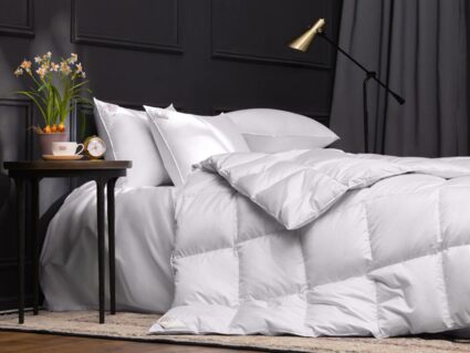 Одеяло German Grass EXCLUSIVE COTTON EIDER DOWN теплое 328